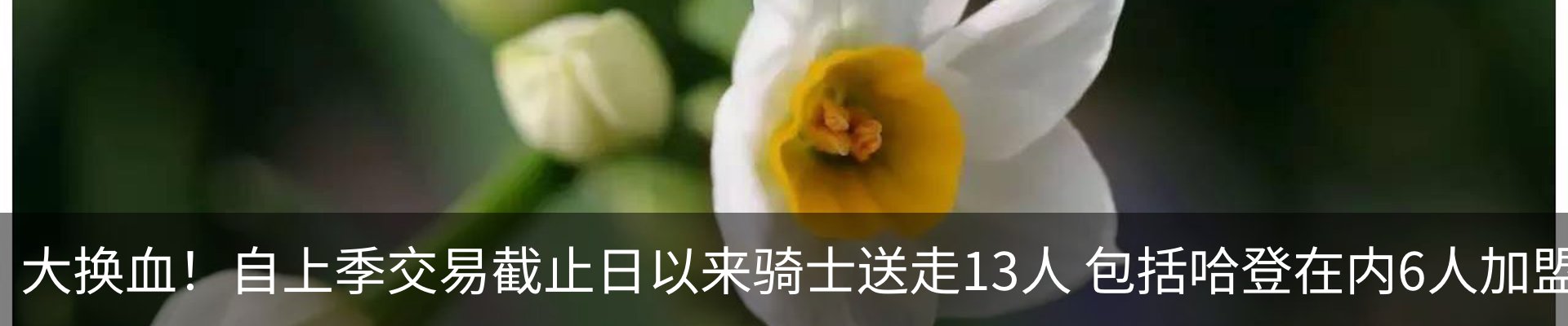内页banner